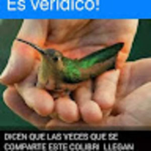 Meet your Posher, Guerrero